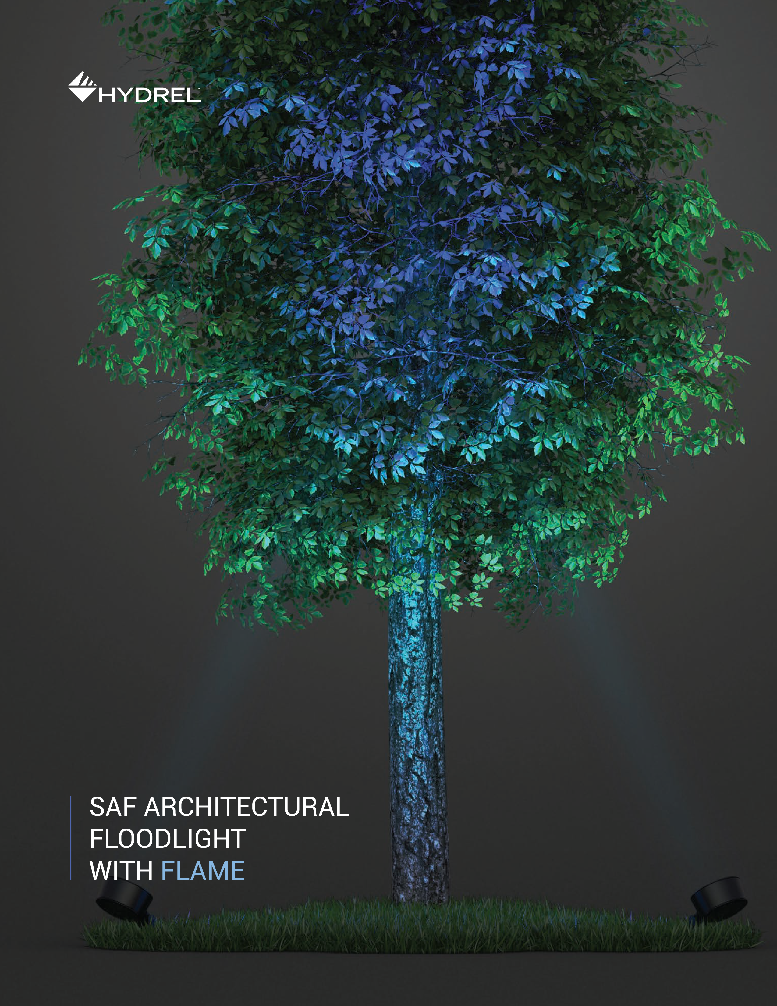 saf_FLAME_brochure