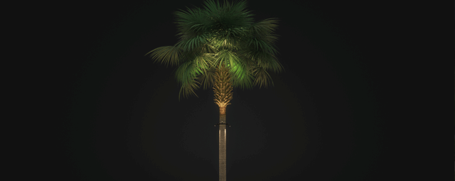 Tree-Ring-palm-Home-Page