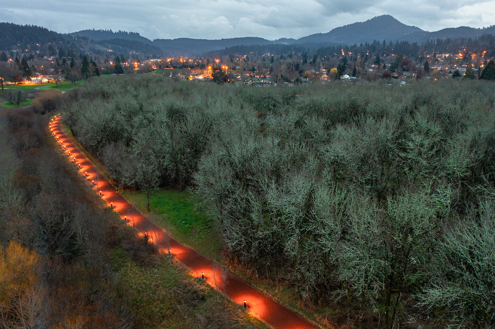 Amazon Running Trail