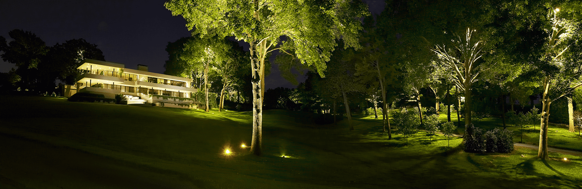 Outdoor tree lighting in open area